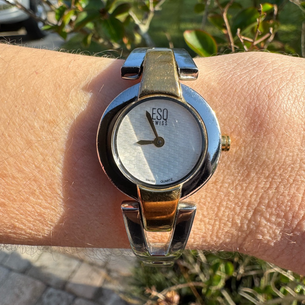 Esq Swiss E5224 Gold And Silver Ladies Watch